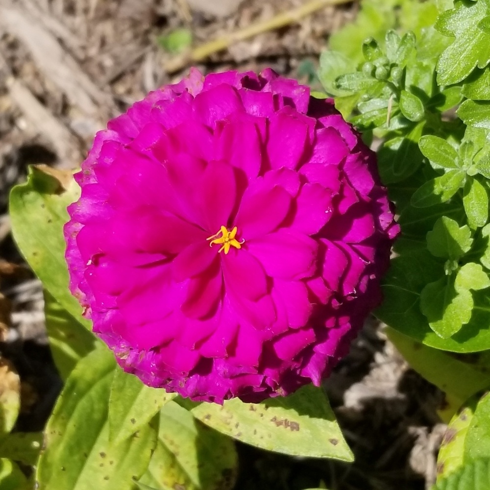 Women & Men's Clothing, Shoes, Jewelry